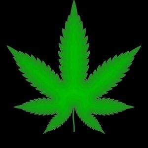 Meet your Posher, Cameron